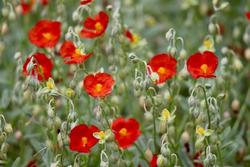 Ormoni: il loro corretto funzionamento dipende dalla qualità del sonno